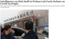 新冠医生爆料新闻报道稿,勇敢发声，揭示病毒背后的残酷现实